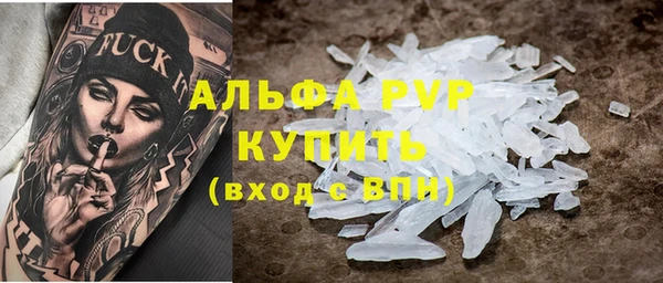 спиды Новозыбков